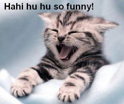 funny-cat-laughing.jpg