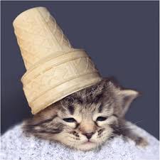 ice cream kitty.jpg