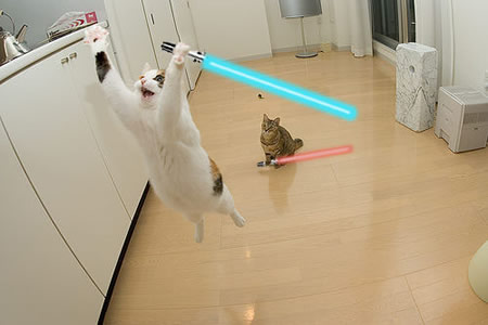 jumping_cats_with_lightsabers8.jpg