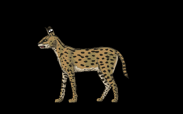 serval4.5.png