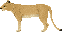 lioness-1-bgtrans.png