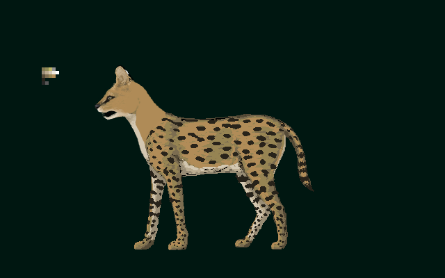 serval5.png